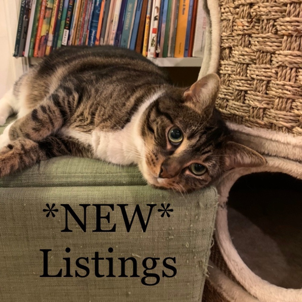 💖 new listings 💖